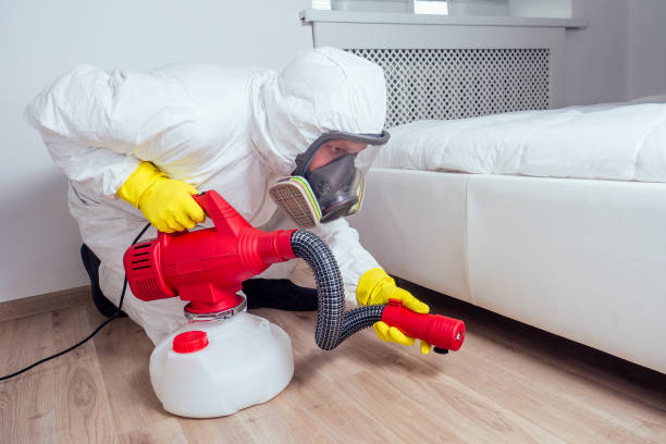 Reliable Grandview, TX Pest Control Solutions