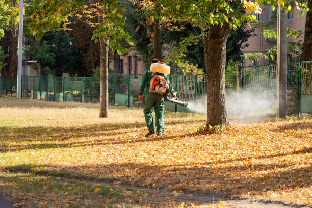 Best Commercial Pest Control Services  in Grandview, TX